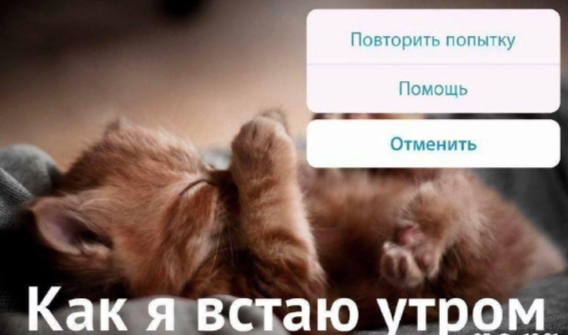 Завтра на работу... - 07.06.26 17:56
