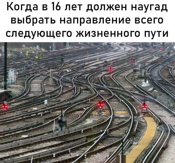 Ответ на пост &laquo;Когда пытаешься принять верное решение&raquo; - 18.10.26 08:39