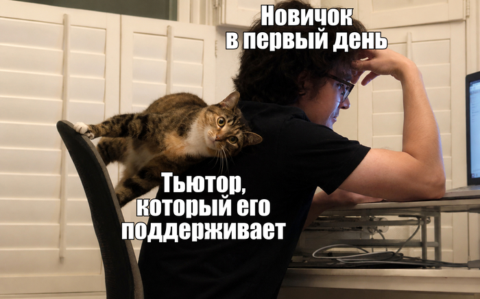 Школа-склад: как в Ozon fresh обучают новых сотрудников - 31.07.26 11:18