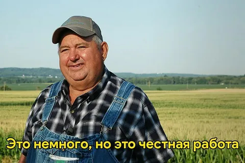 Почему стажировки собирают тысячи откликов и как их проводить - 25.05.26 10:03