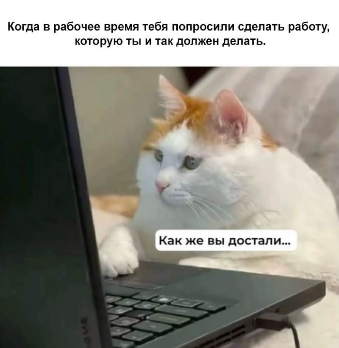 И не сделал - 05.10.26 18:48