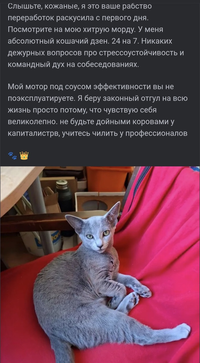 Ответ EliteKeyMaster в &laquo;Ты посмел использовать против меня мои же правила???&raquo; - 16.10.26 09:16
