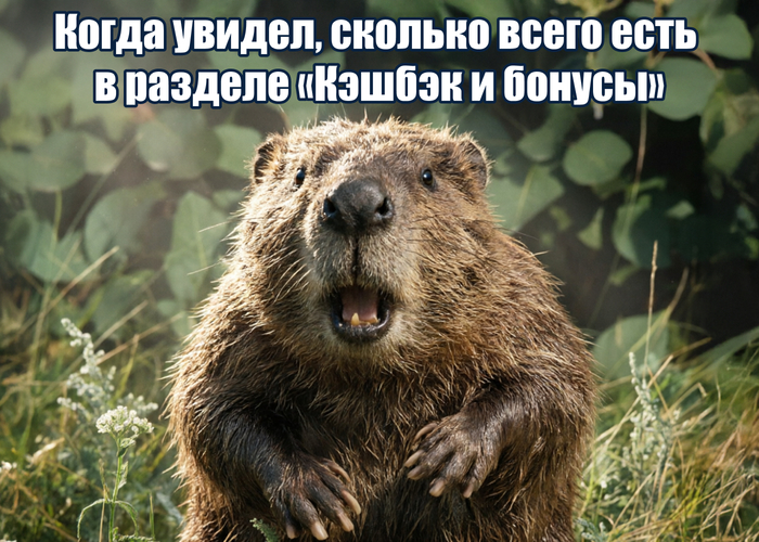 Инструкция: как получать кэшбэк до 50% за покупки в приложении Т-Банка - 30.03.26 18:17