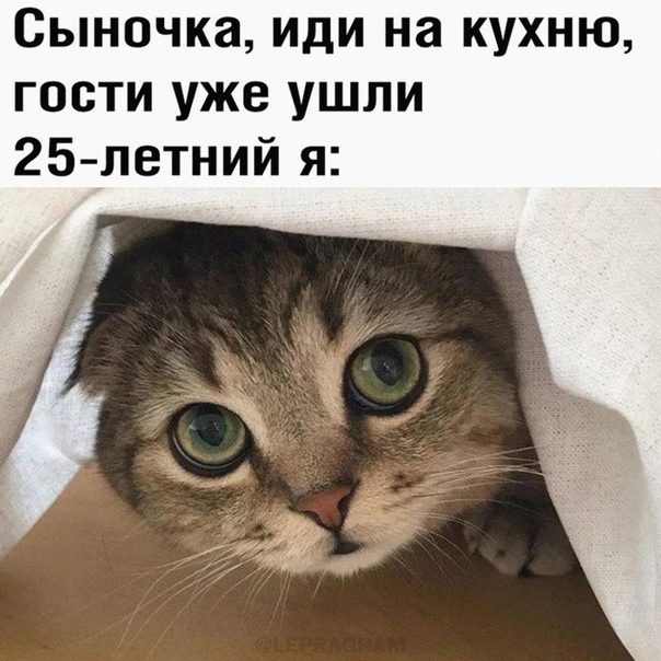 Да и взрослее... - 26.09.26 17:17