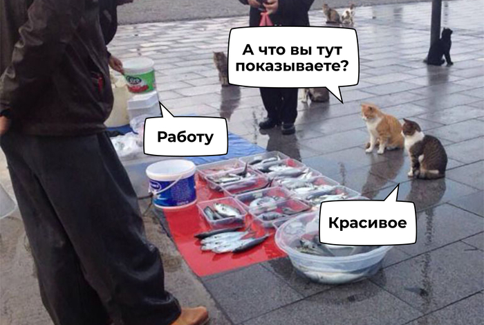 Амбассадор бренда — кто это и чем занимается - 16.05.25 15:35