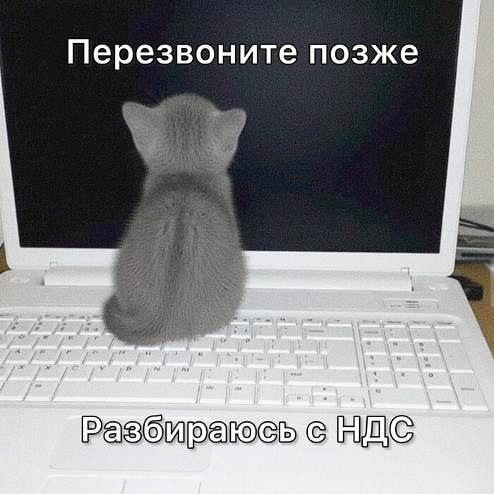Когда будет декларация по НДС со ставкой 22% - 16.03.26 11:57