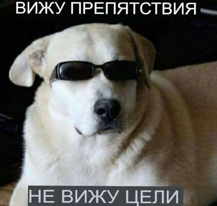 Поздравляем: у вас OКР. Разбираемся, почему бизнесу будет трудно пережить кризис без этих трех букв - 04.06.26 17:00