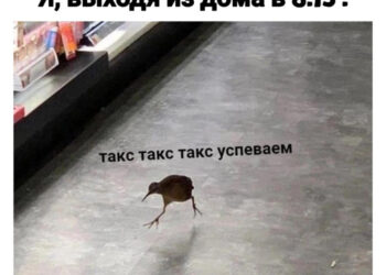 Без меня не начинаем — 10.09.26 05:57
