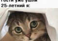 Да и взрослее… — 26.09.26 17:17