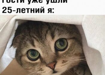 Да и взрослее… — 26.09.26 17:17