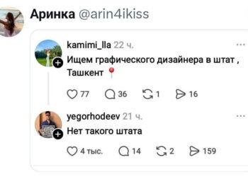 Дизайнер в штат — 24.09.26 22:51