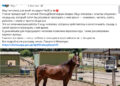 А что, так можно было? — 25.09.26 00:19