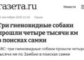 Продолжение поста «Грустно всё это…» — 15.09.26 22:16