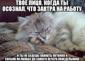 Выходные подходят к концу — 13.09.26 15:24