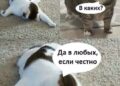 Я в первый день на работе — 23.09.26 12:16