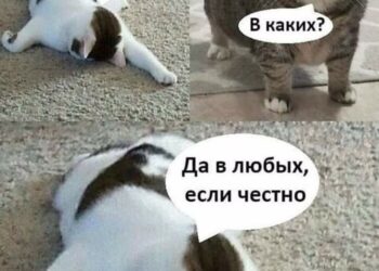 Я в первый день на работе — 23.09.26 12:16