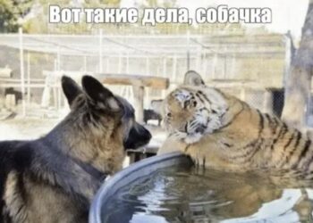 Стих йопта «Понедельник» — 28.09.26 14:15