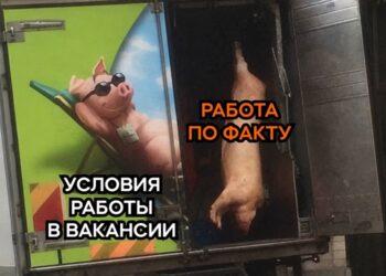 Что вас к нам привело)) — 17.09.26 12:00