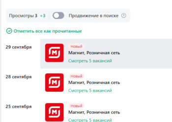 Ищу работу. Или ….железобетонная жопа реальности — 30.09.26 14:27
