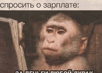 Собес — 20.09.26 18:59