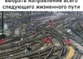Ответ на пост «Когда пытаешься принять верное решение» — 18.10.26 08:39
