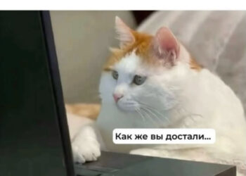 И не сделал — 05.10.26 18:48