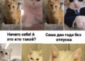 Лучший сотрудник — 17.10.26 15:20