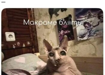 А у вас какое хобби? — 06.10.26 15:17