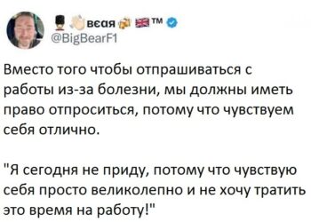 Работа не волк, в лес не убежит — 08.10.26 16:34