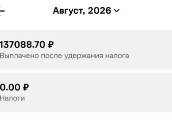 Авито Подработка не выплачивает деньги исполнителям. Поддержка — отдельные сынищи королевы — 08.10.26 03:51