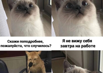 Уважительная причина — 12.10.26 08:52