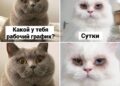 Нужен отпуск — 17.10.26 16:02