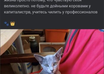 Ответ на пост «Зарплата…» — 15.10.26 21:45