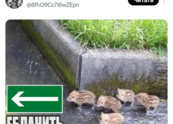 Конец раб дня не за горами — 09.10.26 12:32
