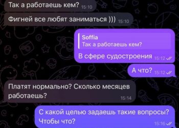 Ещё одну чайку за бортом оставили