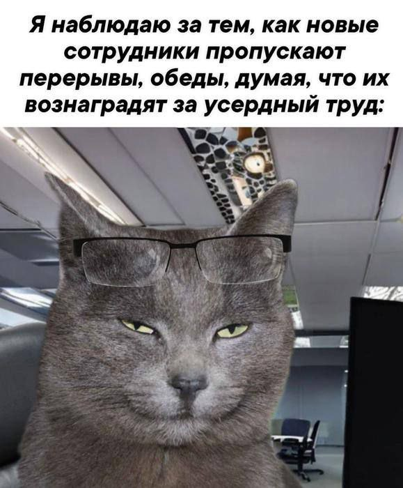 Опытный работник - 04.03.26 22:23