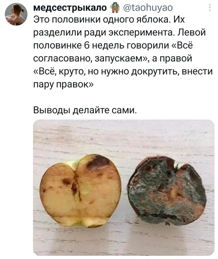 Яблочный эксперимент - 16.05.26 17:06
