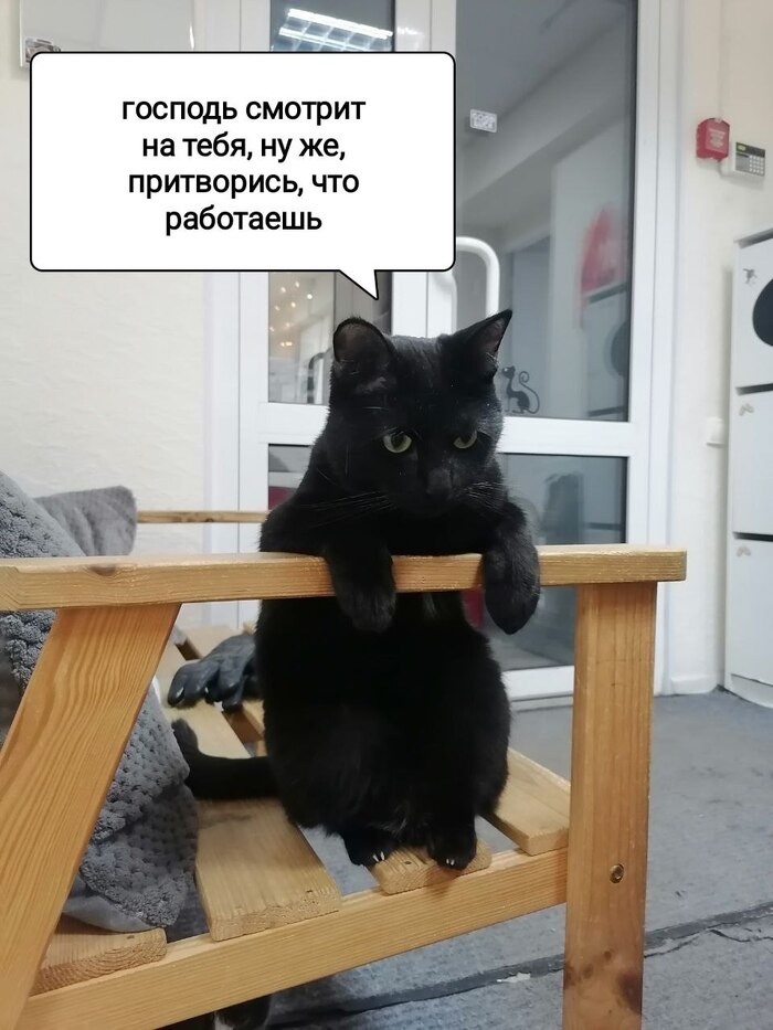 Ладно - 27.01.26 09:24