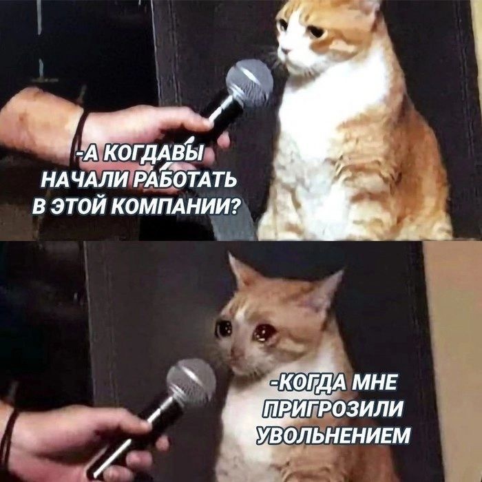 Знакомая ситуация или просто смешная картинка?) - 30.03.26 08:59