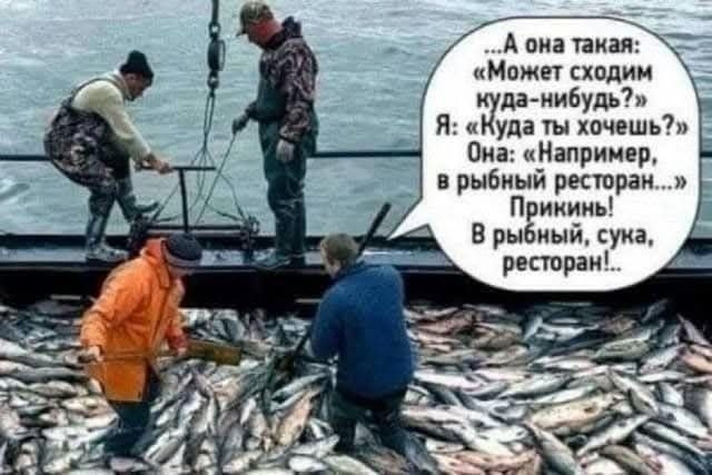 Ну хоть не на рыбалку позвала... - 22.02.26 17:13