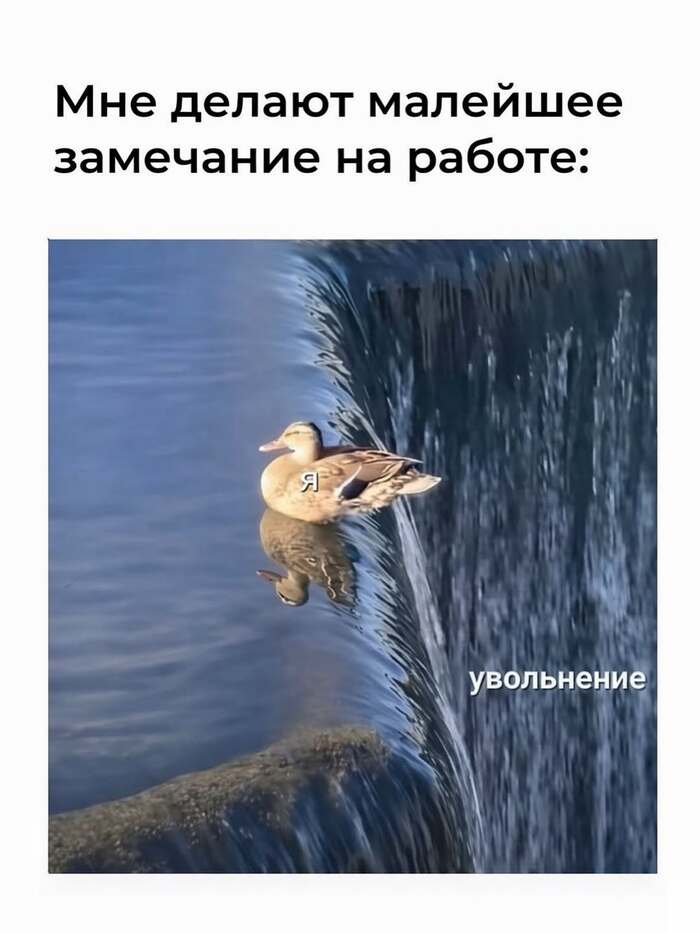 На грани - 03.04.26 11:10