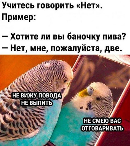 Мне нужна работа для того чтобы бухать и как сегодня я её чуть-чуть не потерял - 13.02.26 15:46