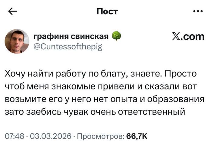 Тоже хочу так - 08.03.26 12:11