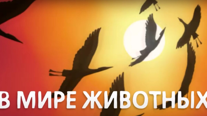 Про дефективных менеджеров #5. Планёрки - 23.05.26 22:00