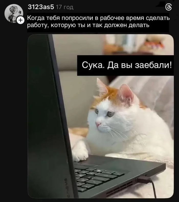Так я ж на работу хожу ради денег, а не поработать - 10.03.26 10:50
