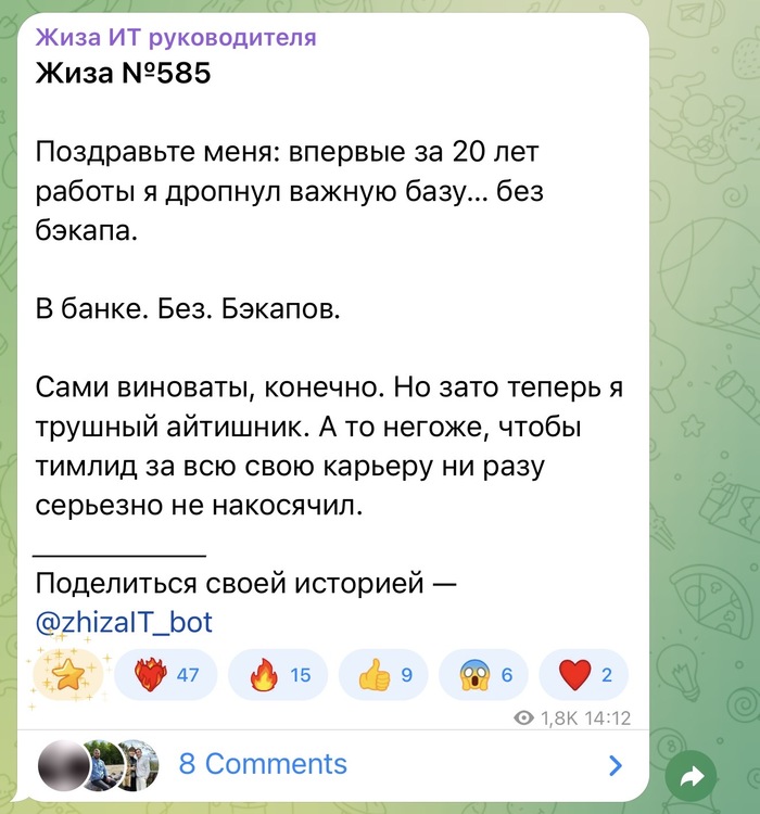 Теперь трушный айтишник - 09.04.26 14:45