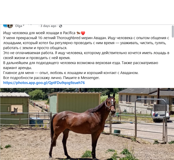 А что, так можно было? - 25.09.26 00:19