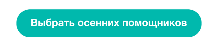 Осенняя уборка: что делать с грязью, влагой и запахом сырости - 08.09.26 12:00