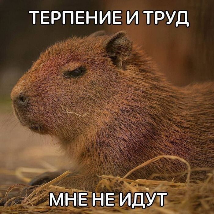 Временные таблицы в базе данных - 14.04.26 09:00