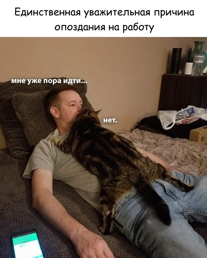 Причина опоздания - 24.02.26 05:52